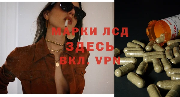 крисы Вязьма