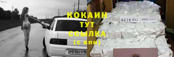 крисы Вязьма