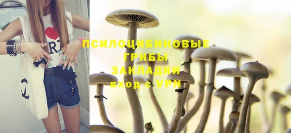 меф Вяземский