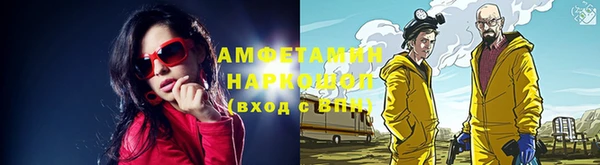крисы Вязьма