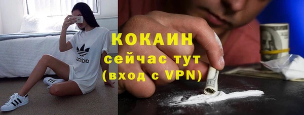 меф Вяземский