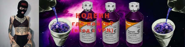 крисы Вязьма