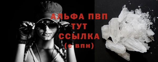 меф Вяземский