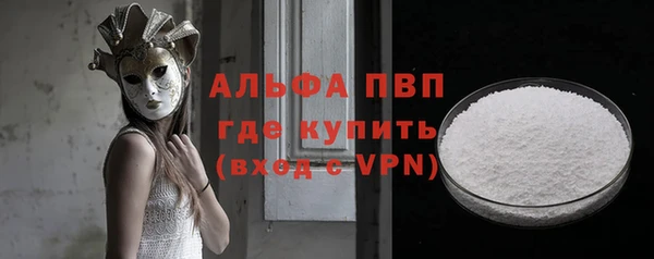 крисы Вязьма