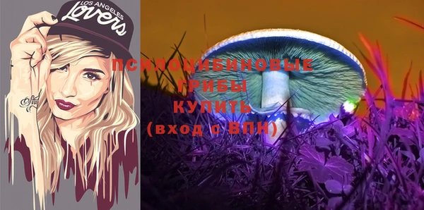 прущие грибы Горняк