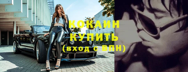 меф Вяземский