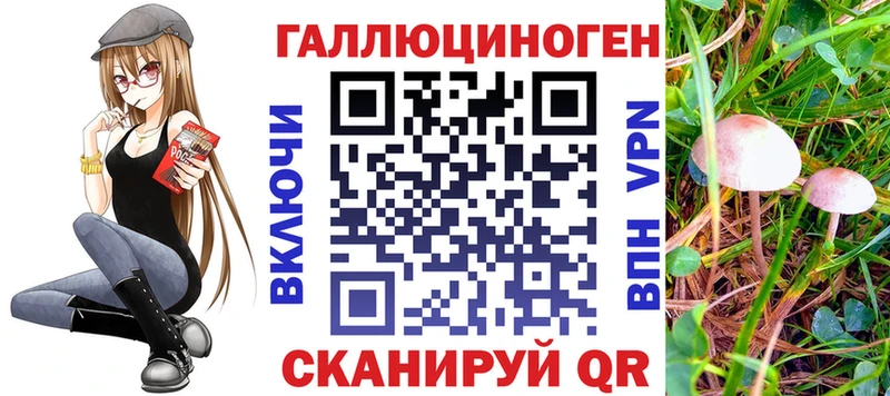 Галлюциногенные грибы прущие грибы Менделеевск