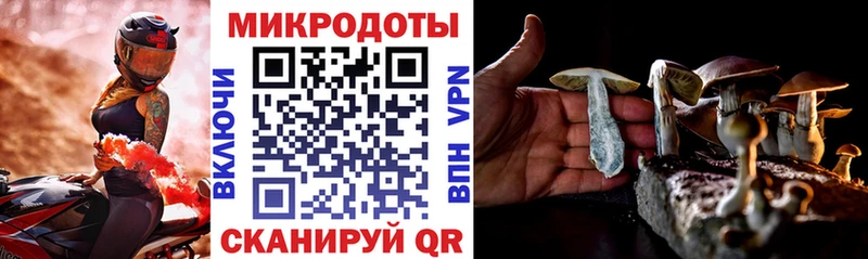 Галлюциногенные грибы MAGIC MUSHROOMS  Купить  Менделеевск 