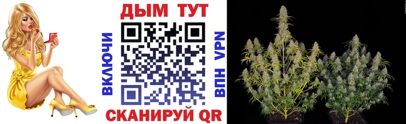 Купить закладки Менделеевск МАРИХУАНА White Widow